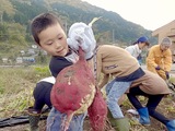 たいら子供農園『イモほり&スイートポテト作り』（2020.10.26）