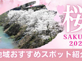 《大島集落 桜並木ドローン映像》のご連絡🌸🌸