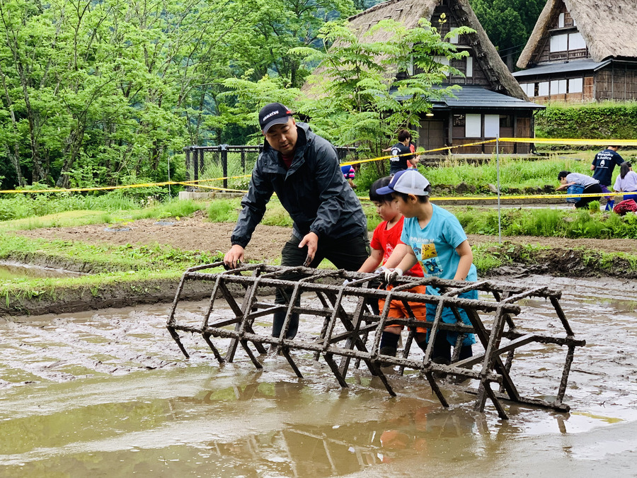 田植え│枠回し