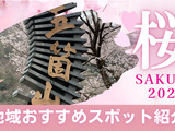 《祖山集落 桜並木ドローン映像》のご連絡🌸🌸