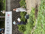 9/13(土) 《世界遺産で米作り 稲刈り》のご報告🌾🌾
