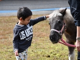 10/26(土) 《馬ふれあいイベント》のご報告🐴🐴